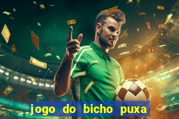 jogo do bicho puxa de dona maria